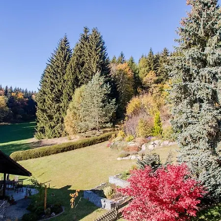 Schwarzwald 2 Bedroom شقة تيتيسي نيوستادت