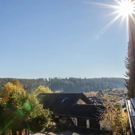 Schwarzwald 2 Bedroom شقة تيتيسي نيوستادت